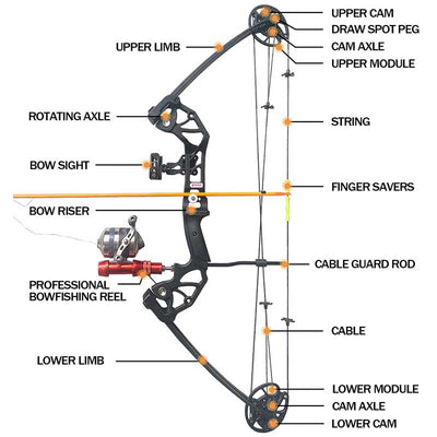 Archery Fish shooting LH RH Adult bowfishing Compound bow Set