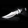 Sheathed fixed hunting knife