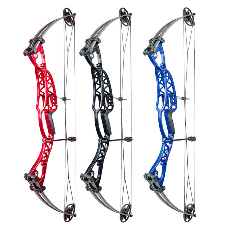 Compound Pulley Bow and Arrow