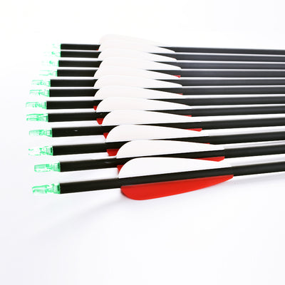 6 SPINE500 carbon arrows (replaceable arrows)