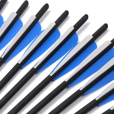 6PCS 17" 20" 22" Carbon Arrow