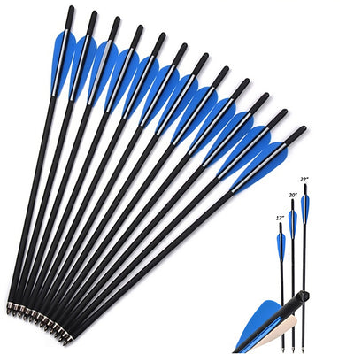 6PCS 17" 20" 22" Carbon Arrow