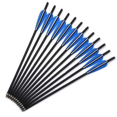 6PCS 17" 20" 22" Carbon Arrow