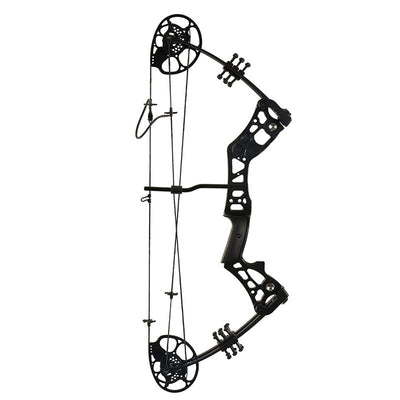 Archery Sports Shooting Target T2 Fire Bow