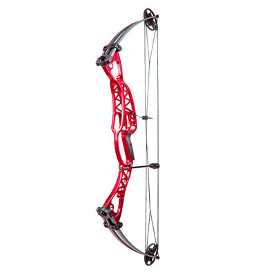 Compound Pulley Bow and Arrow